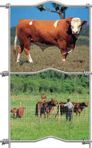 Field Fence,Grassland Fence,Prairie Fence