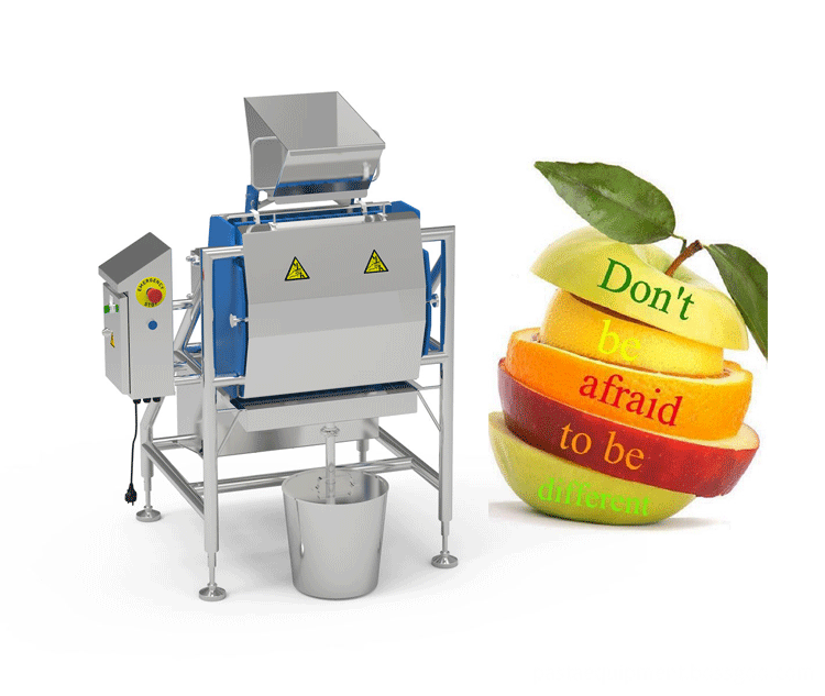 Industrial Juicer Equipment 03