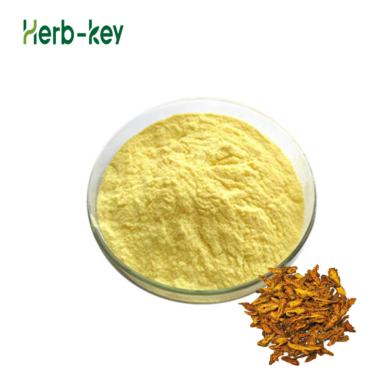 Bulk Coptis Rhizoma Extract Berberine Hydrochloride 98%