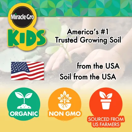 Wholesale Miracle-Gro My First Root Viewer Garden Stem Kit for Kids: Decorate, Plant, and Learn