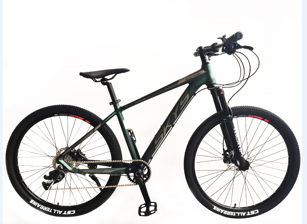 TW-49-1High Quality Bicycle Students Mountain Bike 24