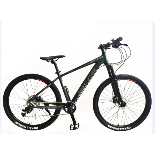 TW-49-1 High Quality Bicycle Student Mountain Bike 24