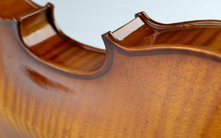 Tayste Violin R80s Solid Wood 1