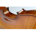 Violino de qualidade Tayste de tamanho total R80s
