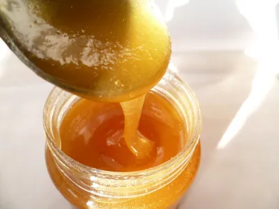 wholesale natural and pure bee honey low price