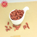 Nutrição alta Chinesa Herb Low pesticida Goji Berries