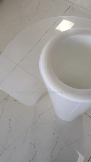 0.55mm transparent Blister Raw Material PP Films Rolls