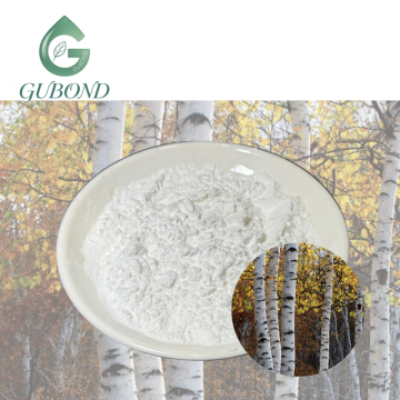 مسحوق حمض البيتولينيك لمكونات المكملات الغذائية