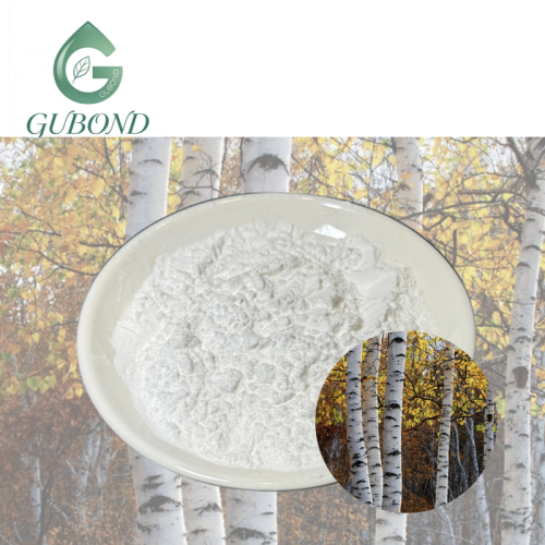 مسحوق حمض البيتولينيك لمكونات المكملات الغذائية