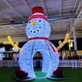 LED Holiday Decorative Lights