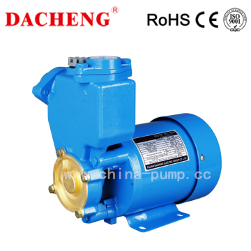 PS126 Best-Selling Electric Water Pump with Big and Middle Pump Body