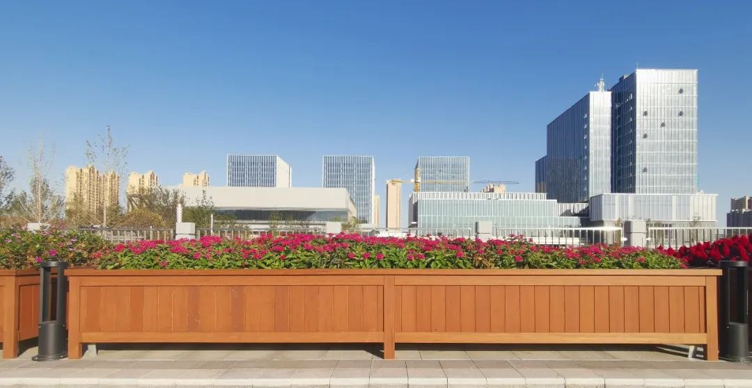 Bamboo cladding for flower boxes