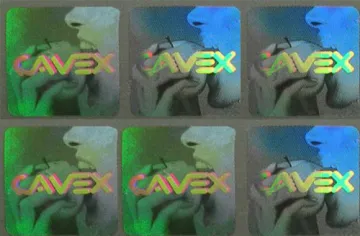 3D hologram sticker/anti-fake labels