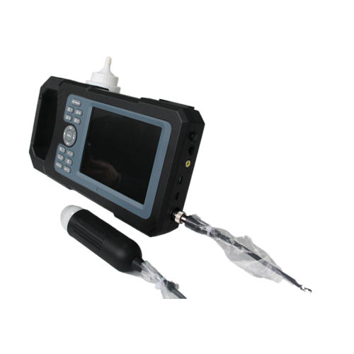 Digital Handheld Veterinary Ultrasound Scanner