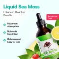 Organic Bladderwrack Sea Moss Liquid Drops