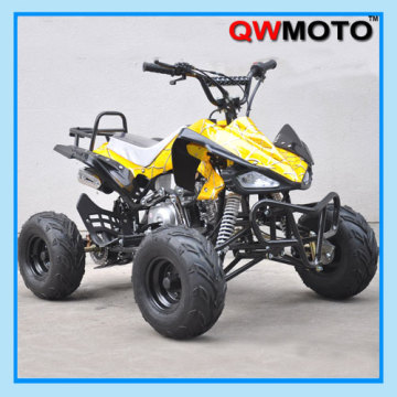 New Style 110CC/125CC ATV/CE 110CC/125CC ATV Quad (QWATV-02)