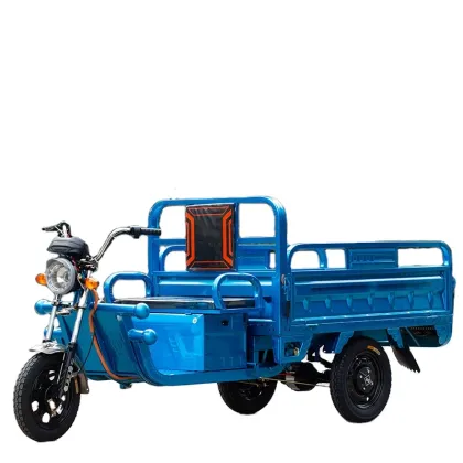 Electric Cargo Tricycle Vending Cart Bike