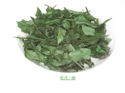 best white tea price of Peony white tea