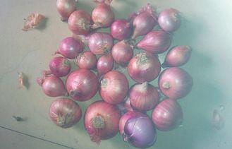 IQF Elongated Red Asian Shallots Full-Flavoured Health Beni