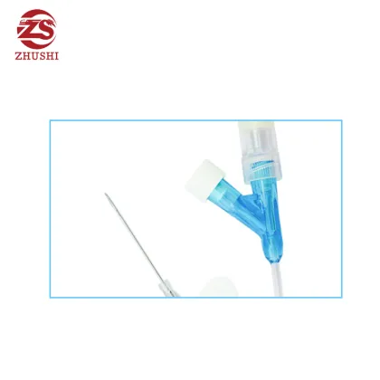 Sterilized intravenous indwelling needle