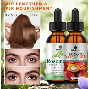 Fabricante OBRIGAÇÃO PRIVATA RABILA PRIVADA ÓLEO DE ROSEMARY ORGANICAIS / Óleo Batana Conjunto para Cuidados com Cabelos, Evite Perda de Cabelo e Ensmas Divididas