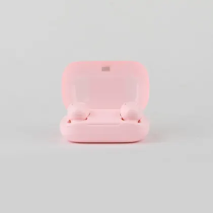 True Wireless Stereo Headset R24