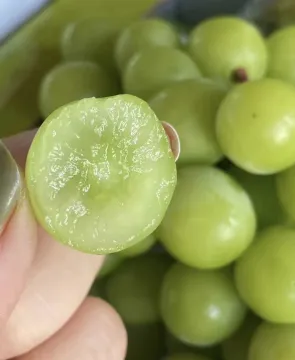 Delicious Seedless Shine Muscat Grape Fresh