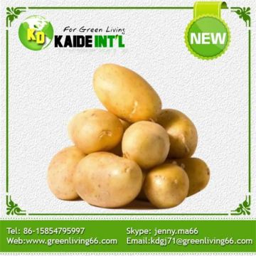 Fresh Yellow New Crop Potato 100g