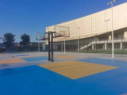 Fixed single-arm basketball hoops