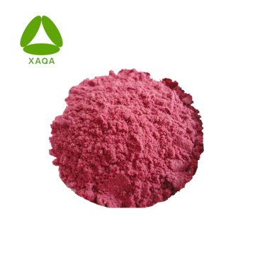 Raspberry Juice Powder Freezed Dried Flavour Additive