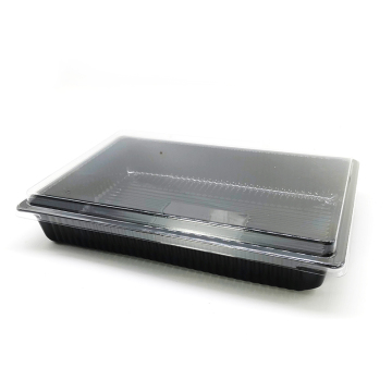 Wholesale Disposable Rectangular Sushi Trays with Lid - Cheap Plastic Bento Takeout Packaging