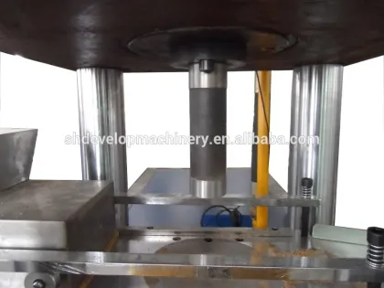 LPF100 Hydraulic Tablet Press & Salt tablet press