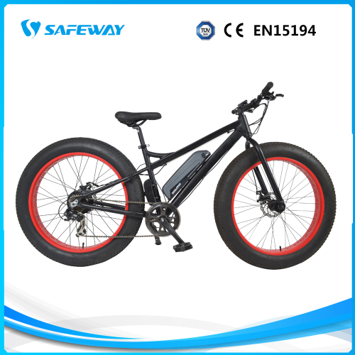 뚱뚱한 타이어 리튬 배터리 전기 자전거