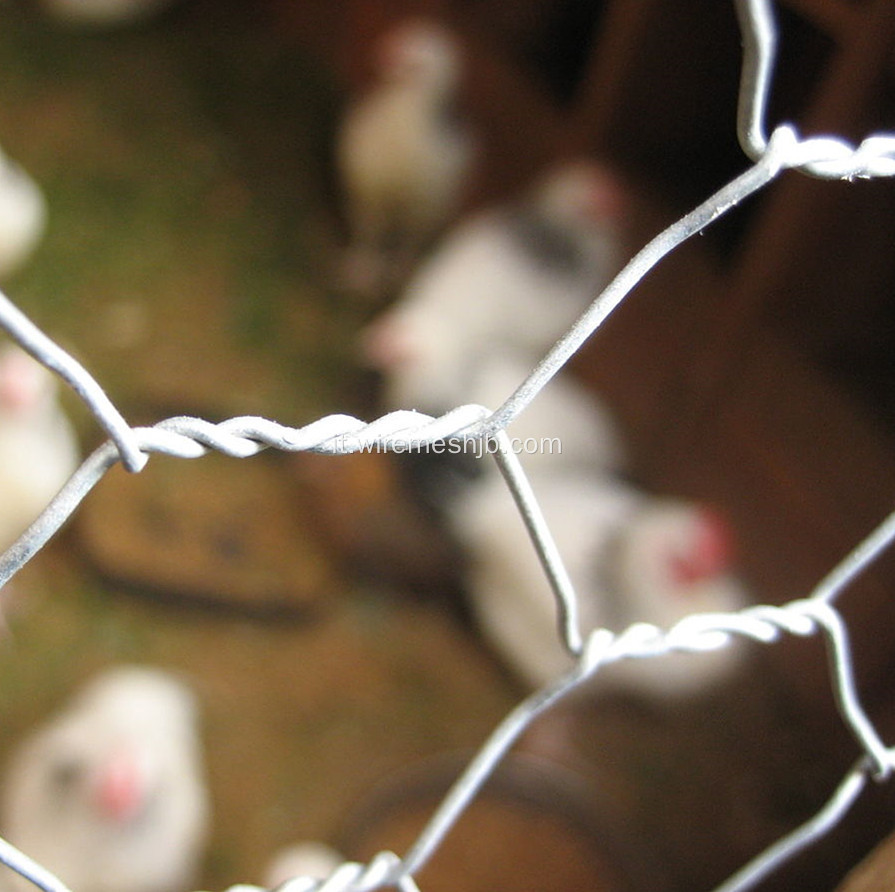 Rete metallica esagonale del bestiame del pollo