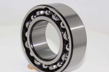 Double Row Angular Contact Ball Bearing (3209M)