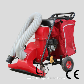 petrol leaf vacuum  TQB4