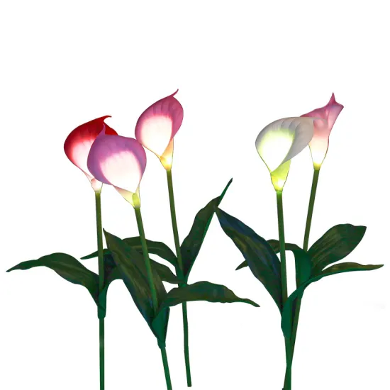 Outdoor Landscape  Calla Lights