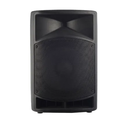 cabinet pro audio loud speaker 15inch speaker