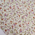 100% Cotton Floral Printing Poplin Eyelet Embroidery Fabric