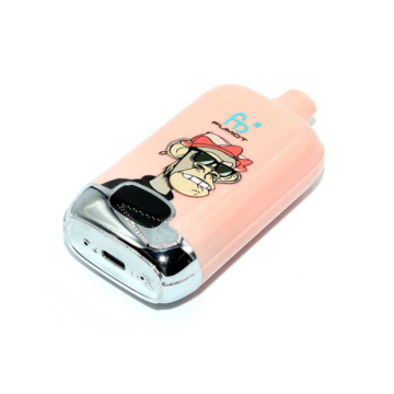 Randm Digital Box 12000 disposerive vape