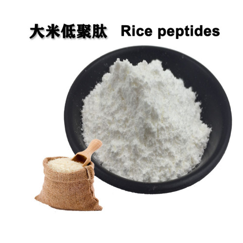 função de peptídeos de proteína de arroz