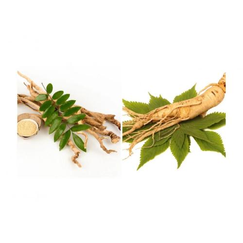 Extracto de hojas y tallos de ginseng UV5%