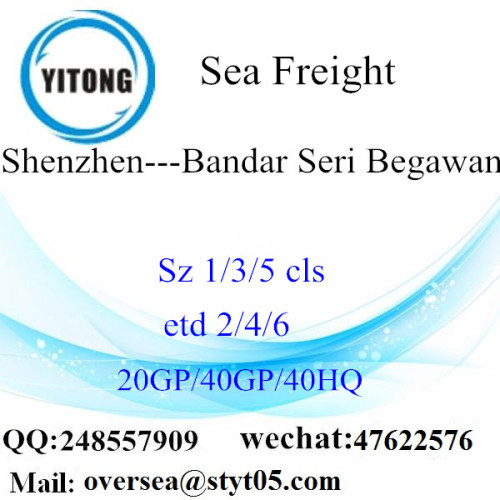 Shenzhenhaven Zeevracht Verzending naar Bandar Seri Begawan