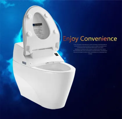 smart smart vagina toilet automatic acrylic toilet