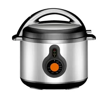 Electric Pressure Cooker