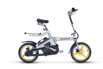 Electric Bike