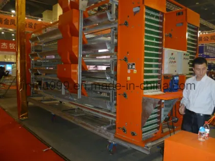 H Type Chicken Equipments