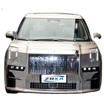 Zeekr 009 WE Version: New Energy Vehicle MPV