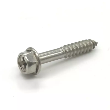 Phillips Recess Flange Tapping Half Thread Screw 8#-18*1