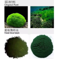 Healthy EU & USDA Chlorella, Chlorella powder, Chlorella